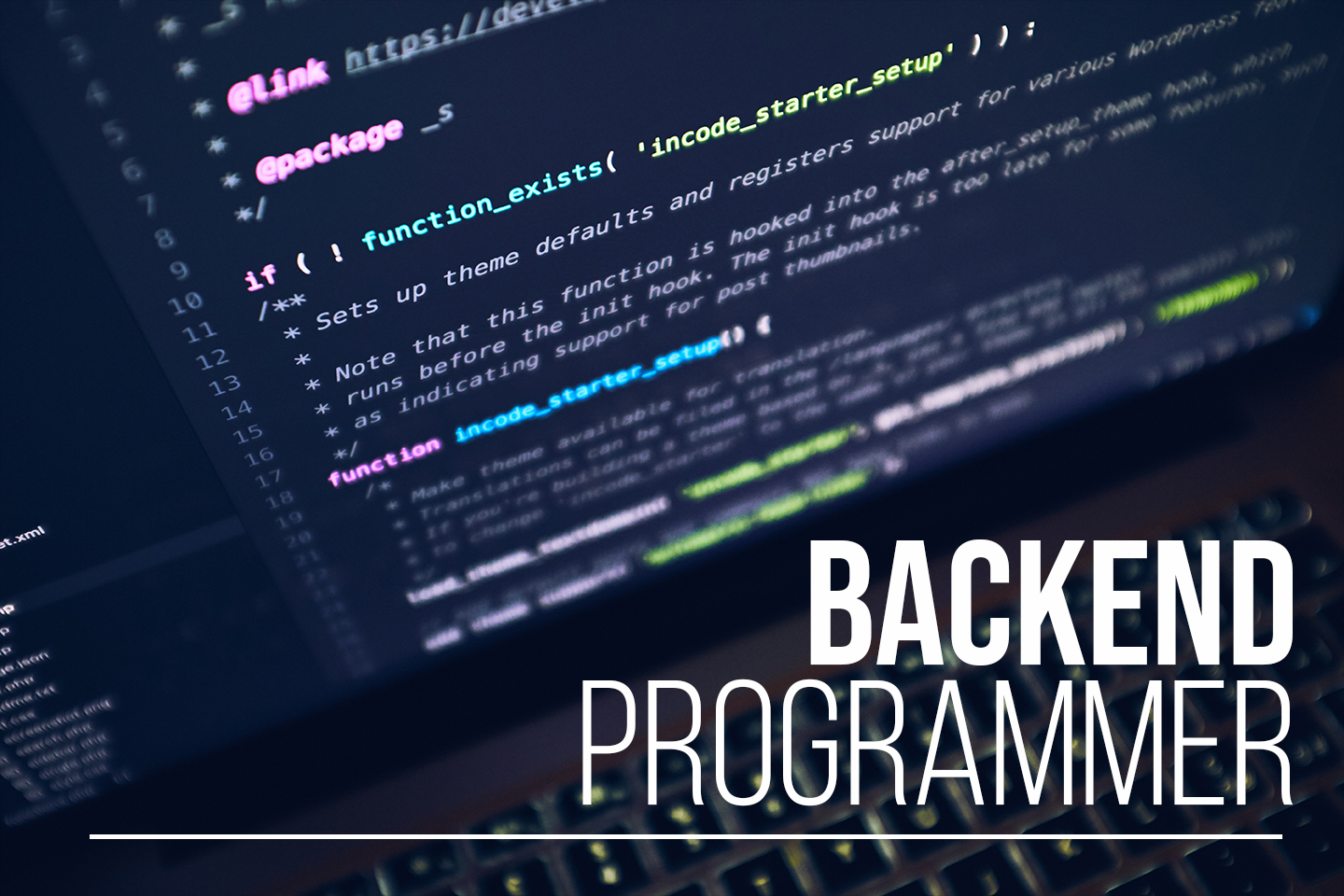 Backend Programmer