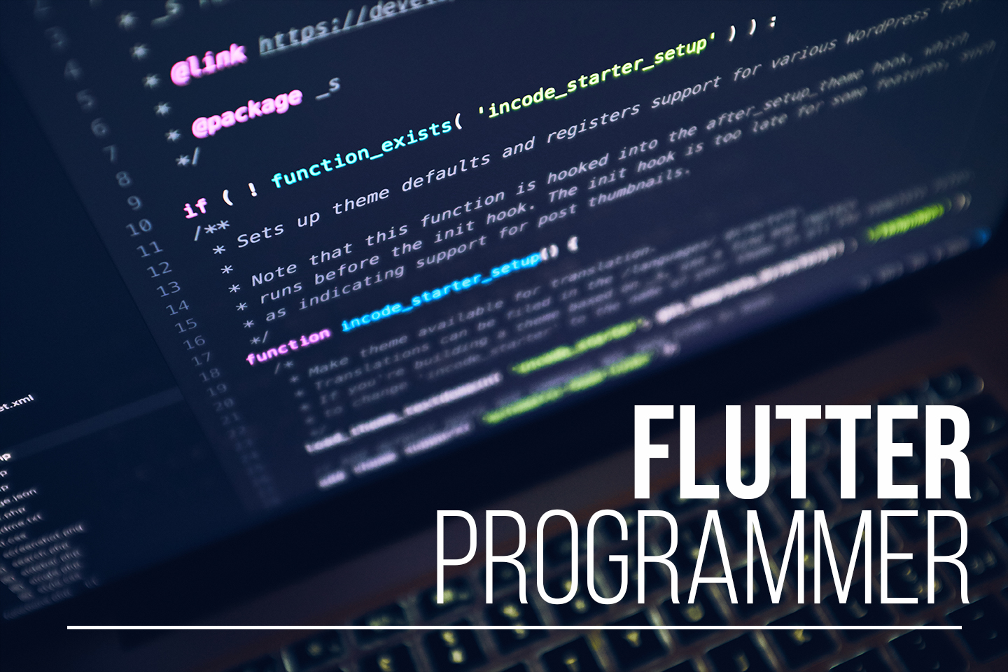 Flutter Programmer